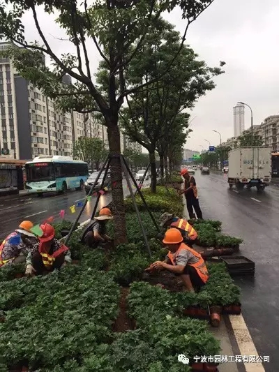 640.webp (1).jpg 640.webp (1).jpg